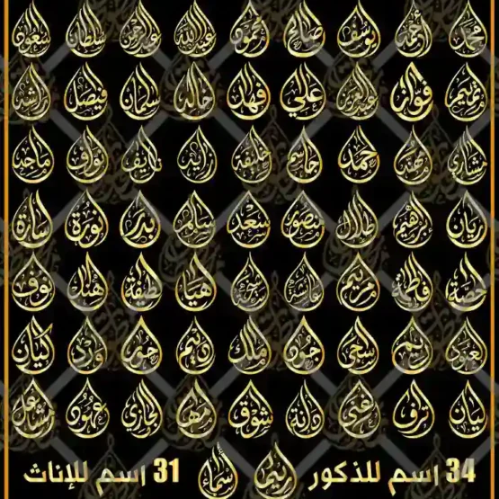 مخطوطات أسماء الذكور والنساء بالخط العربي على هيئة قطرة ماء فيكتور SVG AI EPS PNG للميداليات والليزر والجرافيك والموشن جرافيك Male and Female Names Arabic Calligraphy Droplet Vector