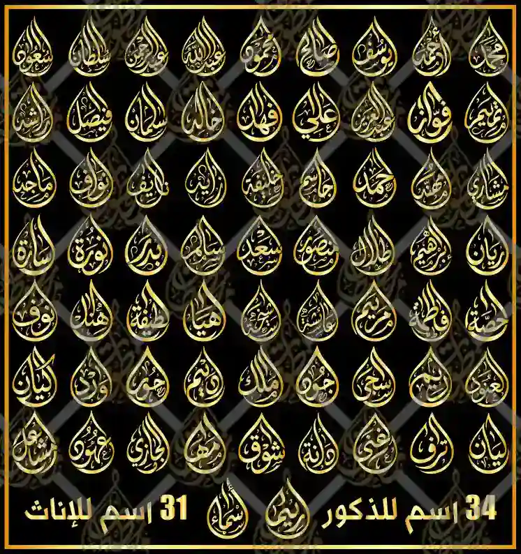 مخطوطات أسماء الذكور والنساء بالخط العربي على هيئة قطرة ماء فيكتور SVG AI EPS PNG للميداليات والليزر والجرافيك والموشن جرافيك Male and Female Names Arabic Calligraphy Droplet Vector